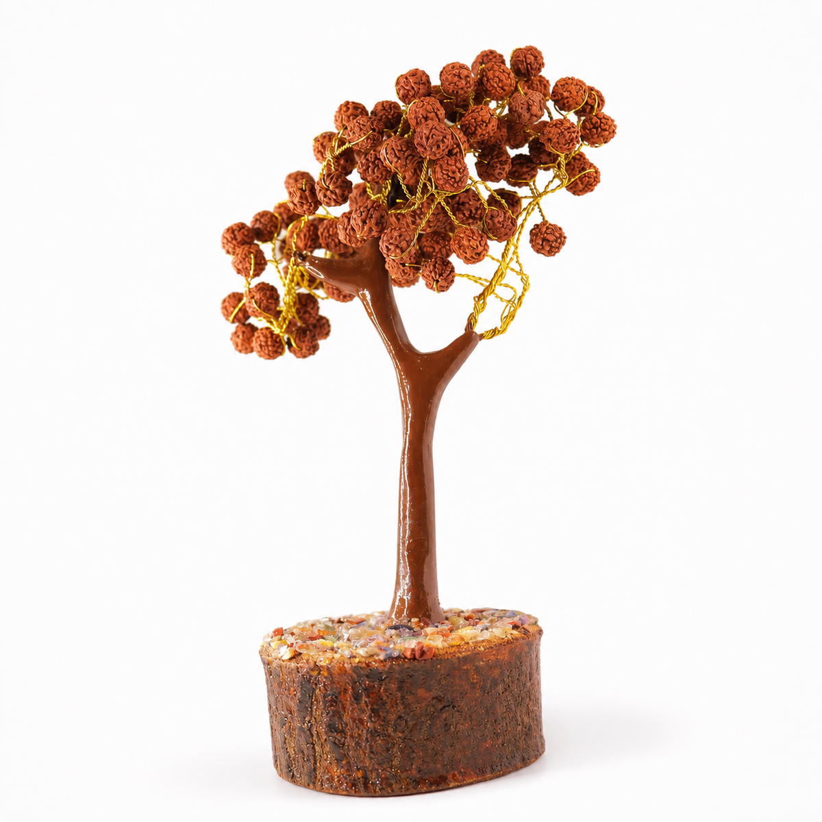 Rudraksh Tree