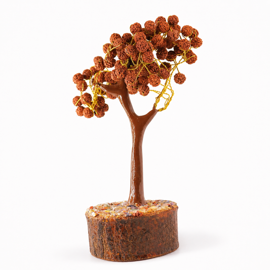 Rudraksh Tree
