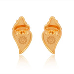 Conch Shell Earrings Brass - Self Love Jewels